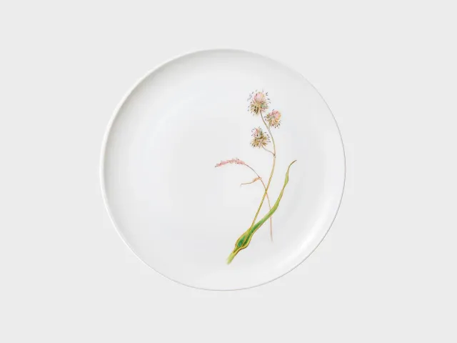 Nymphenburg Lotos Sommergräser coupe tallerken 21 cm