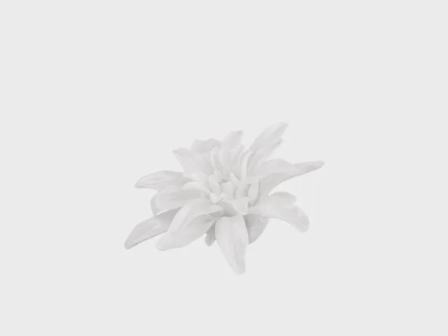 Nymphenburg Chrysantheme bordblomst hvid porcelæn