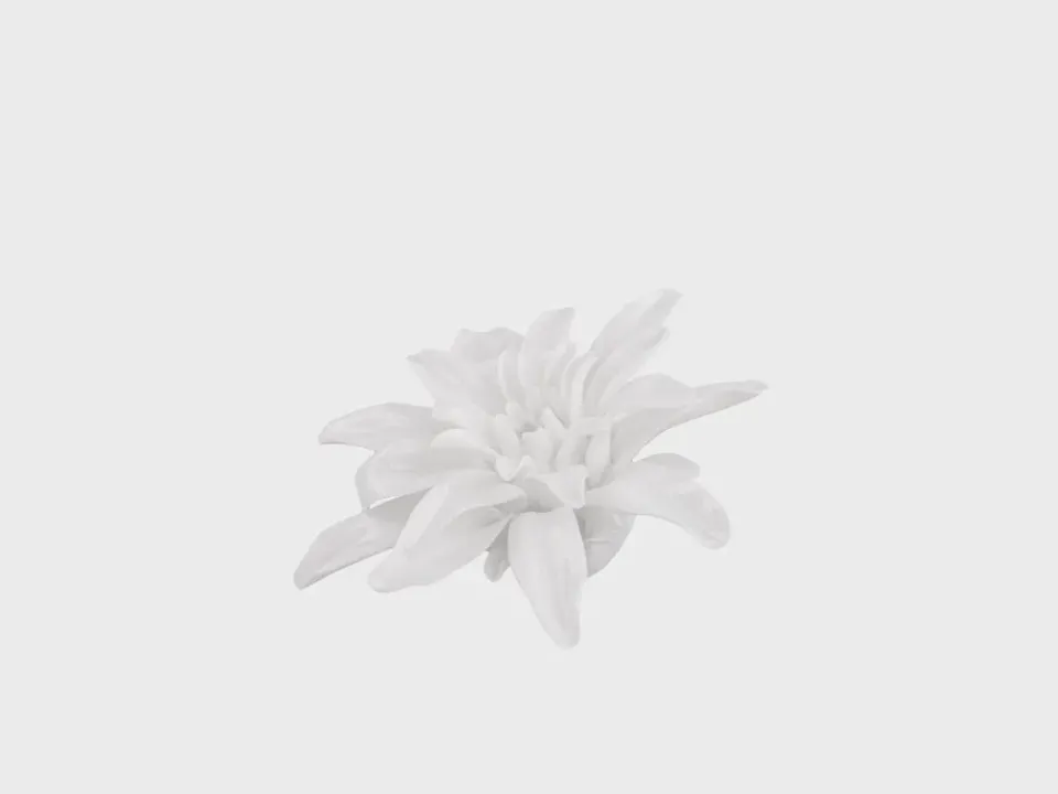 Nymphenburg Chrysantheme bordblomst hvid porcelæn