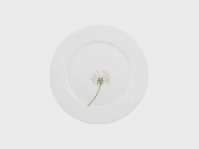 Nymphenburg Lotos tallerken 24 cm Pusteblume bemalet