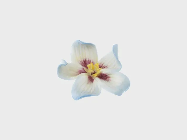 Nymphenburg Hornviol bordblomst håndmalet porcelæn