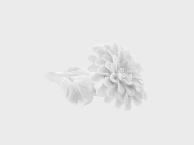 Nymphenburg Dahlie bordblomst hvid glasur