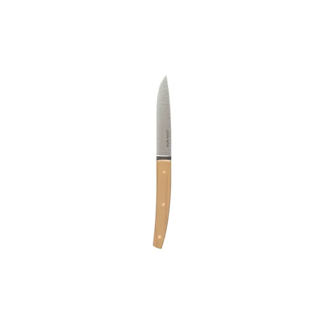 Costa Nova Remo steakkniv polished silver stål