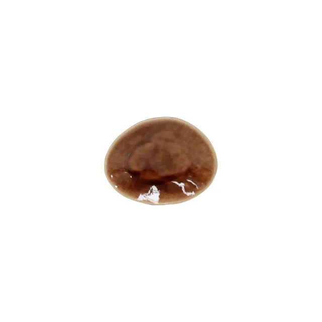 Costa Nova Riviera oval tallerken terra brown blank inderside