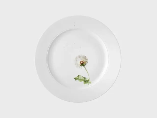 Nymphenburg Lotos Pusteblume tallerken 27 cm bemalt