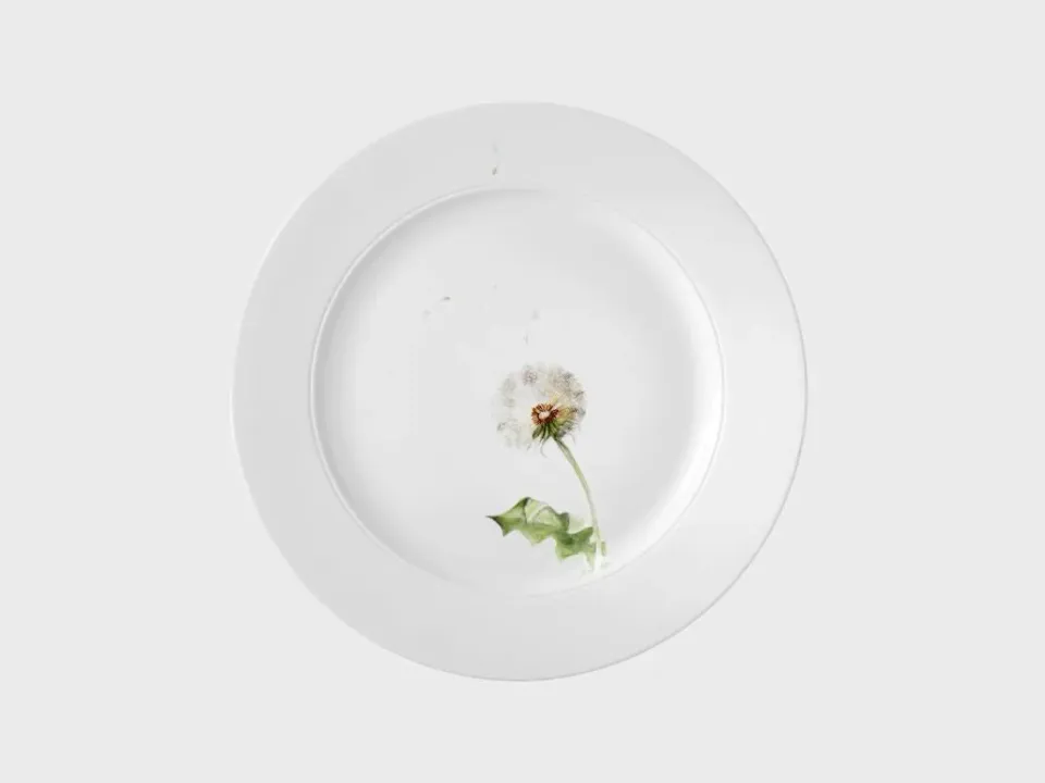 Nymphenburg Lotos Pusteblume tallerken 27 cm bemalt