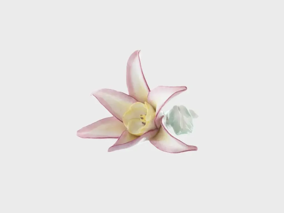 Nymphenburg Sternblume porcelænsblomst håndmalet