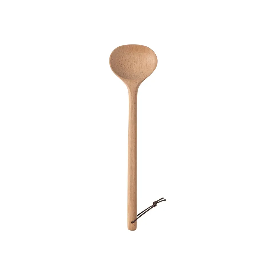 Costa Nova Beech bøgeske bøg træ