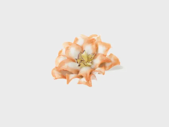 Nymphenburg bordblomst kaktusblomst håndmalet glaseret
