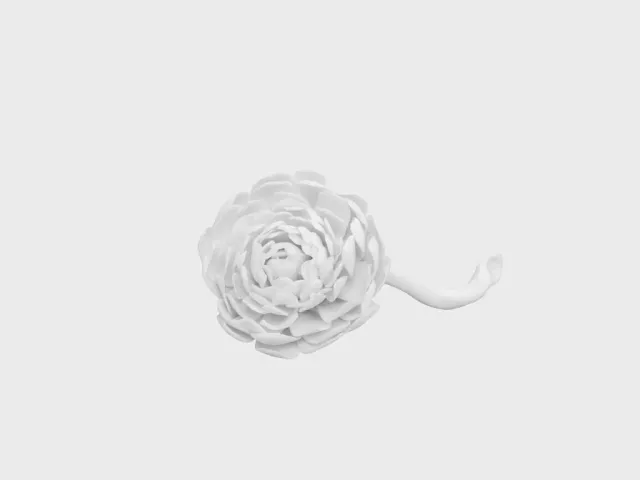 Nymphenburg Paeonie bordblomst hvid porcelæn