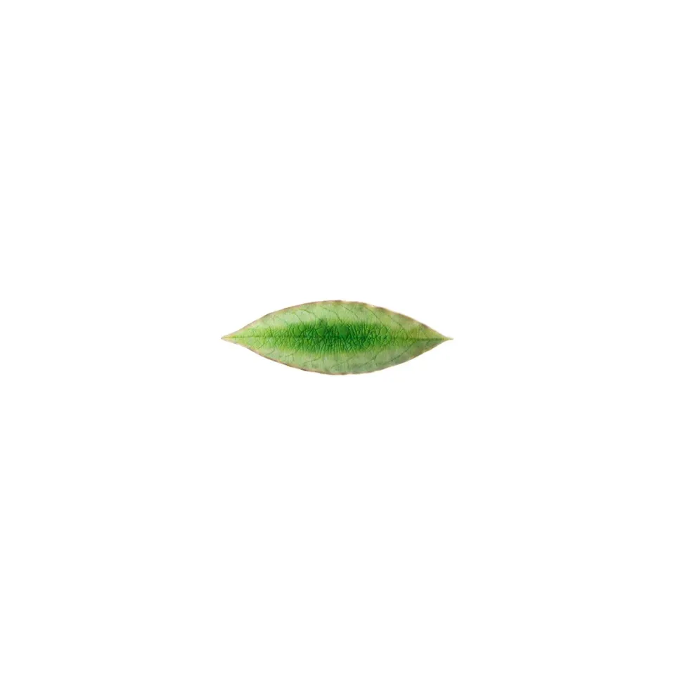 Costa Nova Laurel Leaf Riviera fad grøn stentøj