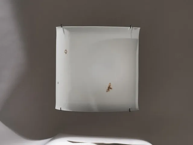 Nymphenburg Luna væglampe LX300 porcelæn hvid