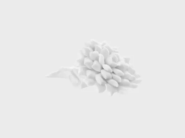 Nymphenburg Dahlie porcelænsblomst hvid spidse blade