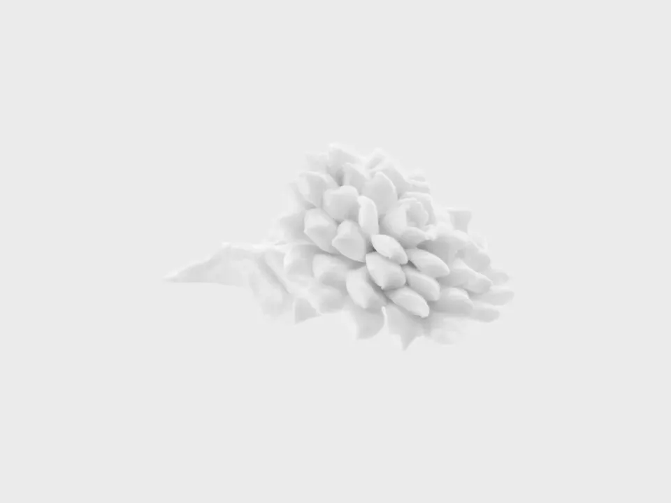 Nymphenburg Dahlie porcelænsblomst hvid spidse blade