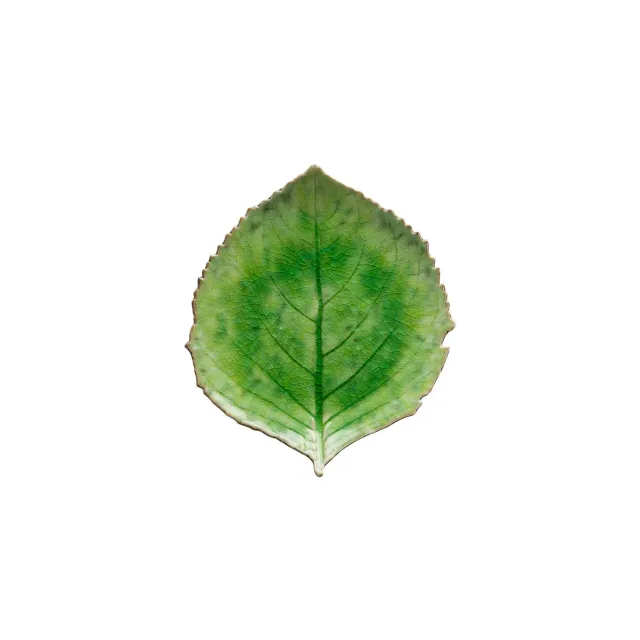 Costa Nova Riviera Hydrangea Leaf fad tomate green
